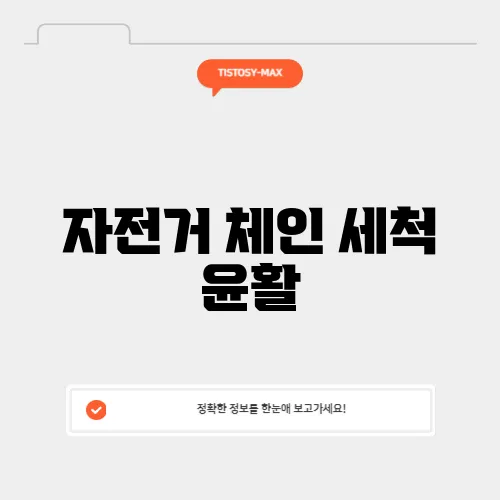 자전거 체인 세척 윤활