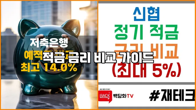 적금 금리 비교 가이드