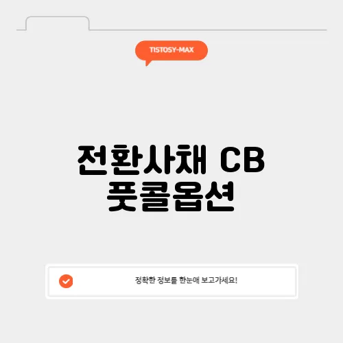 전환사채 CB 풋콜옵션