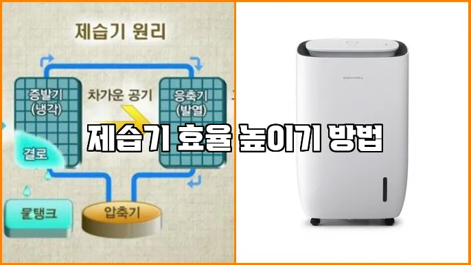 제습기 효율 높이기 방법