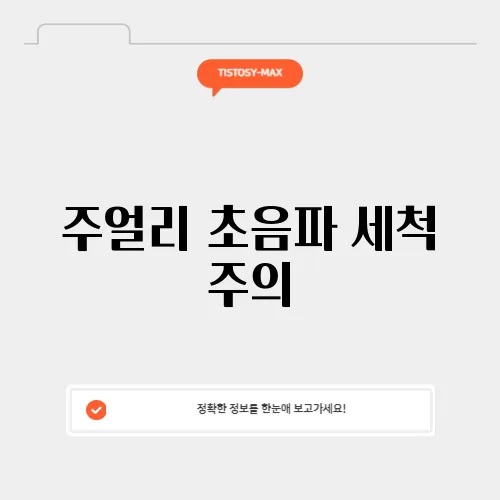 주얼리 초음파 세척 주의