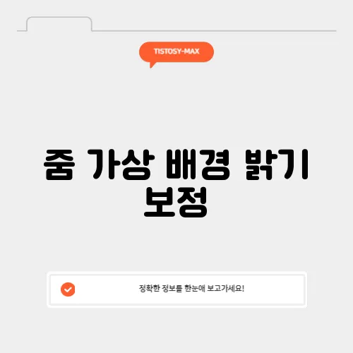 줌 가상 배경 밝기 보정