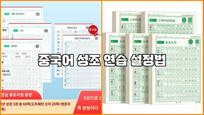 중국어 성조 연습 설정법