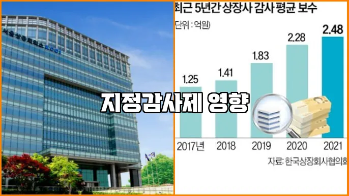 지정감사제 영향