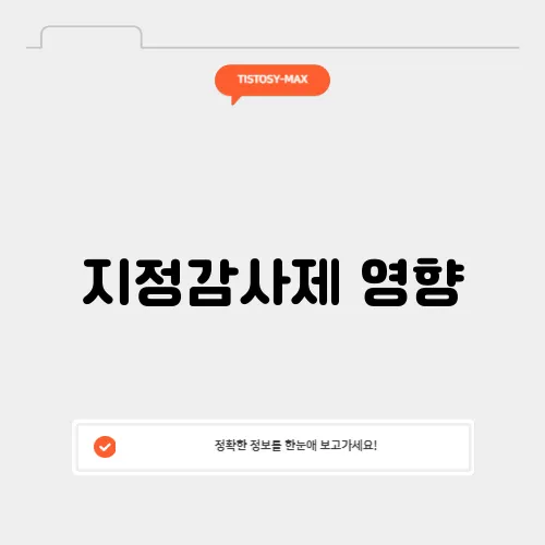 지정감사제 영향