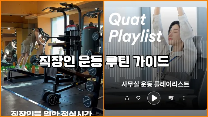 직장인 운동 루틴 가이드