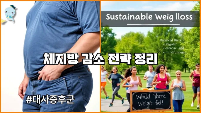 체지방 감소 전략 정리