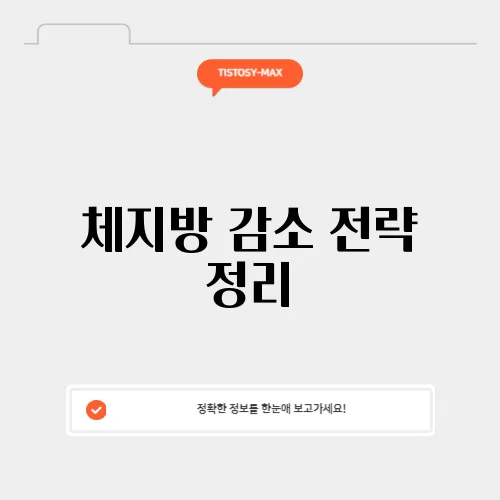 체지방 감소 전략 정리