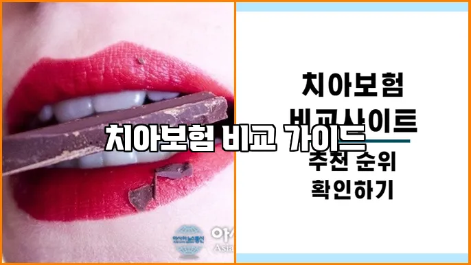 치아보험 비교 가이드