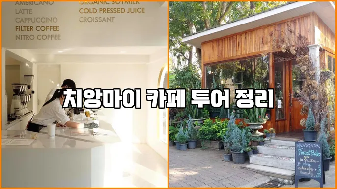 치앙마이 카페 투어 정리