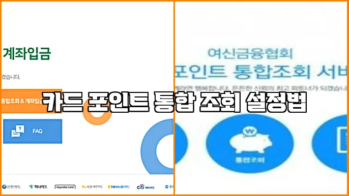 카드 포인트 통합 조회 설정법