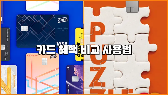 카드 혜택 비교 사용법