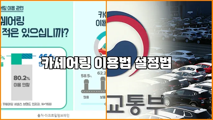 카셰어링 이용법 설정법
