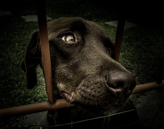 좋은삼선병원 채용 관련 이미지 3