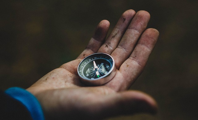 살빼는방법 관련 이미지 3