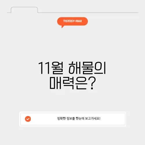11월 제철 해물 완벽 가이드 알아보기