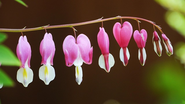 전라북도 테니스협회 완벽 가이드: 모든 것을 알아보자! 관련 이미지 3