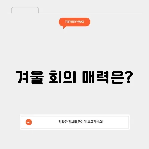 겨울 회 제철의 모든 것 알아보기
