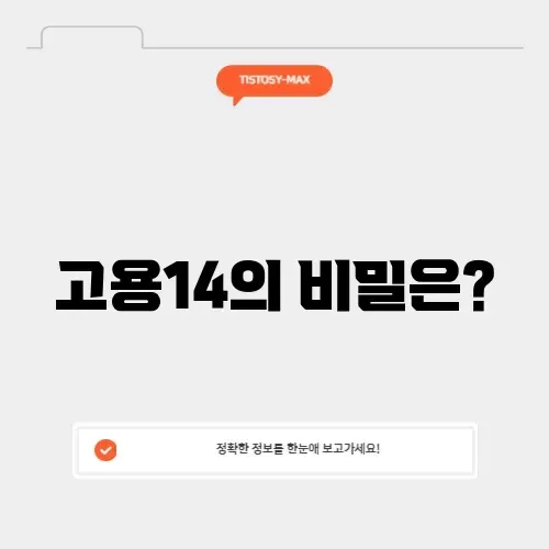 고용14의 모든 것, 완벽 정리해보기