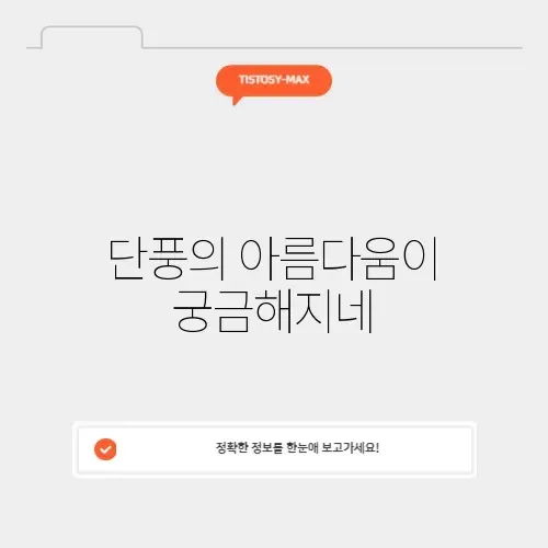 원주 단풍나무의 매력, 완벽 정리하기