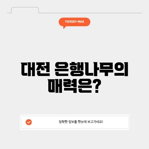 대전 은행나무 명소 완벽 가이드 알아보기