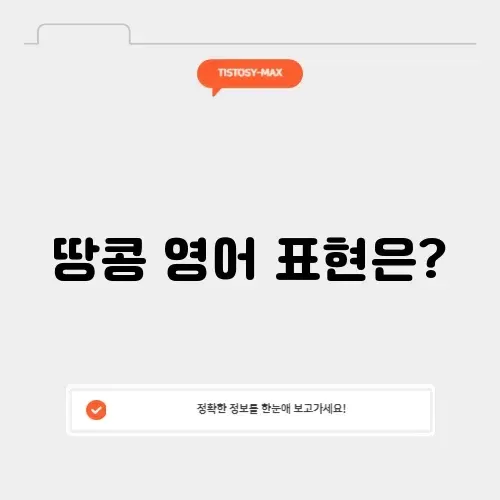 땅콩 영어로 어떻게 표현할까? 완벽 가이드 알아보기