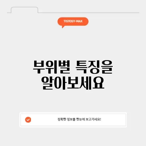 샤브샤브용 소고기 부위 완벽 가이드 알아보기