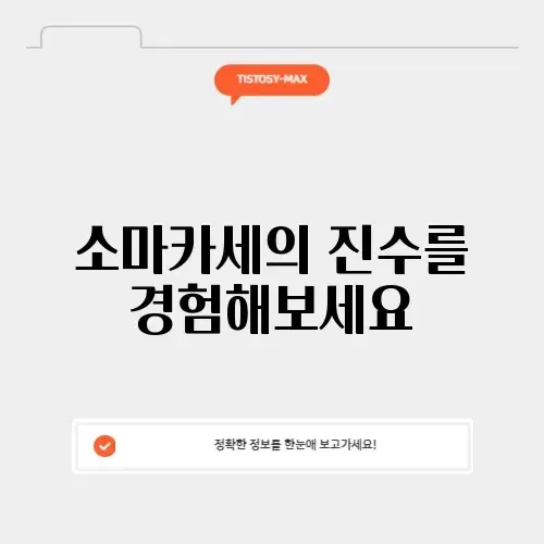 아산 소마카세의 매력, 완벽 정리하기!
