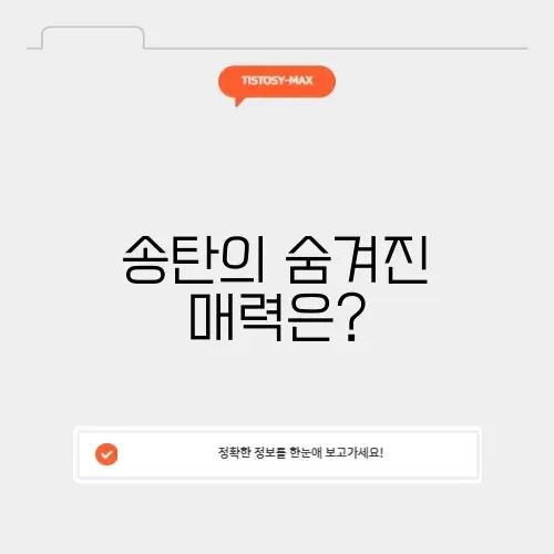 송탄 미군부대 탐방 가이드: 숨겨진 매력 알아보기