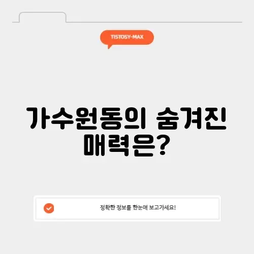 가수원동의 매력을 알아보기 위한 완벽 가이드