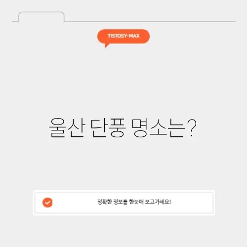 울산 근교 단풍 명소 완벽 가이드 알아보기