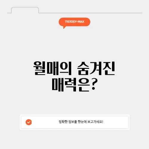 “월매의 매력, 완벽 정리하여 알아보기”