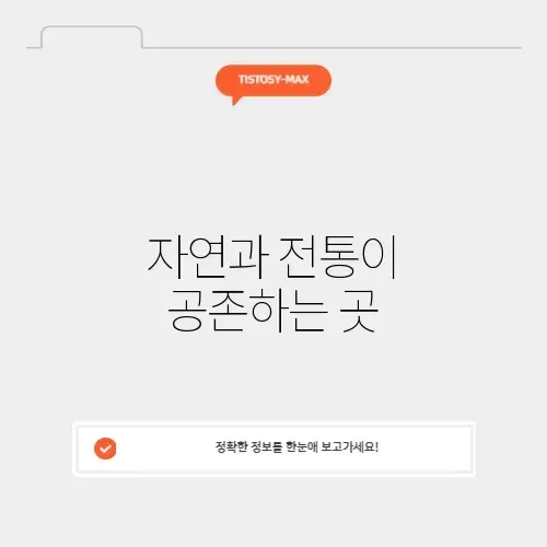 오오야마의 매력, 완벽 정리하기