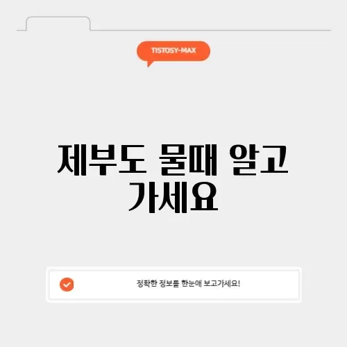 오늘 제부도 물때시간표 완벽 가이드 알아보기